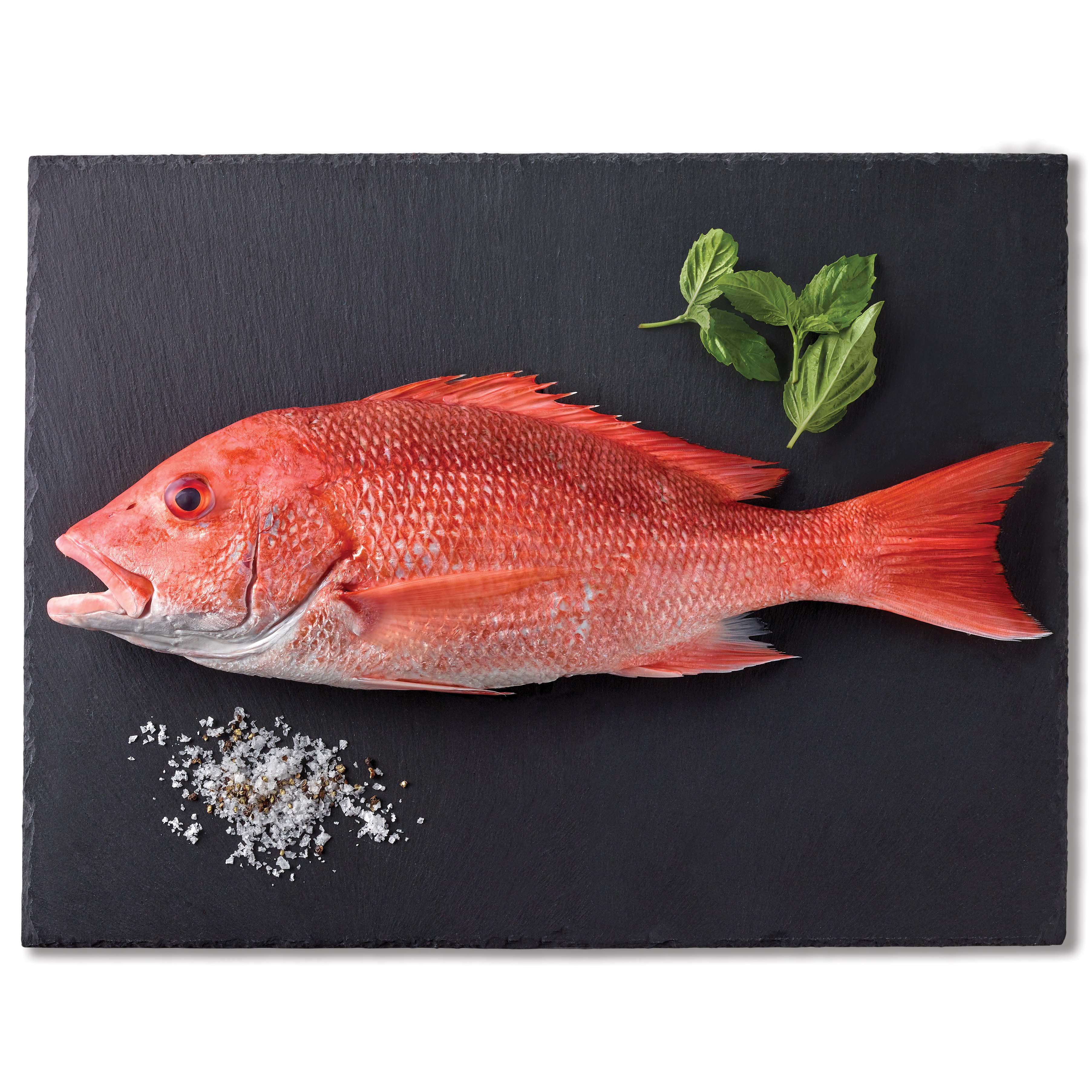 H-E-B Wild Caught Fresh Whole American Red Snapper - Shop Fish at H-E-B
