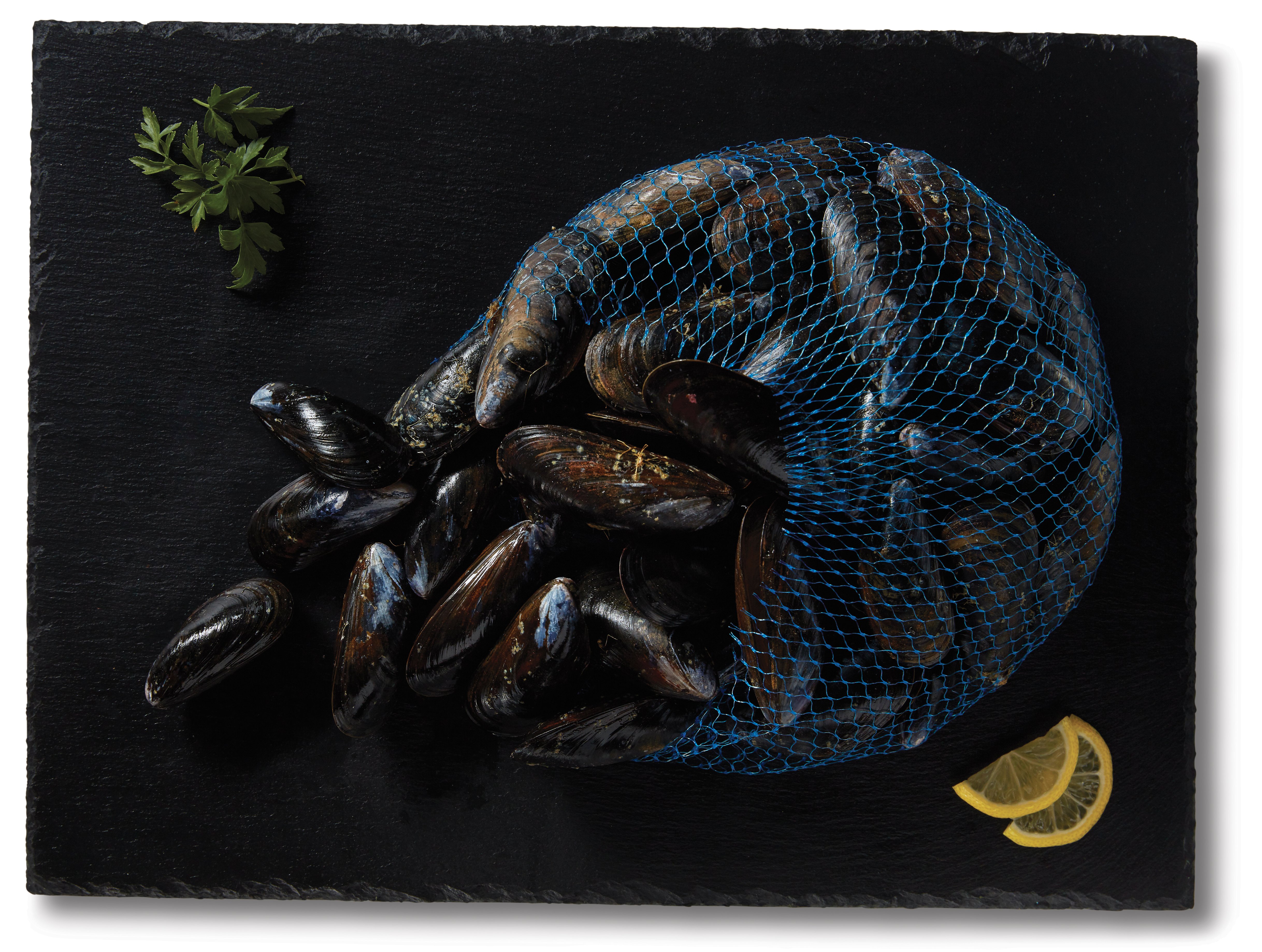 HEB Responsibly Raised Live Black Mussels Shop Shrimp & Shellfish