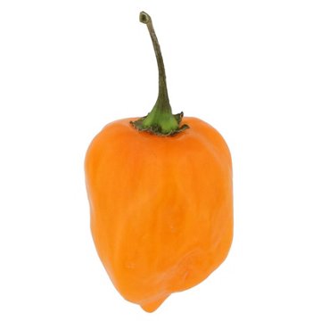 Fresh Habanero Peppers, Avg. 0.01 lb