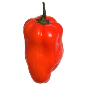 Fresh Habanero Peppers, Avg. 0.03 lb