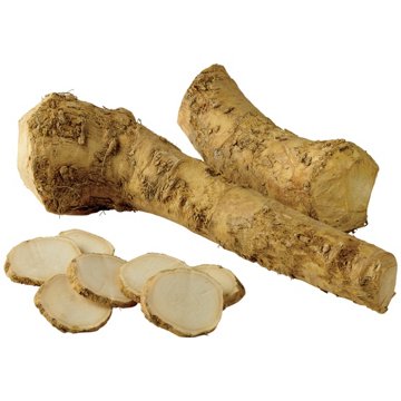 Fresh Horseradish Root, Avg. 1.5 lbs