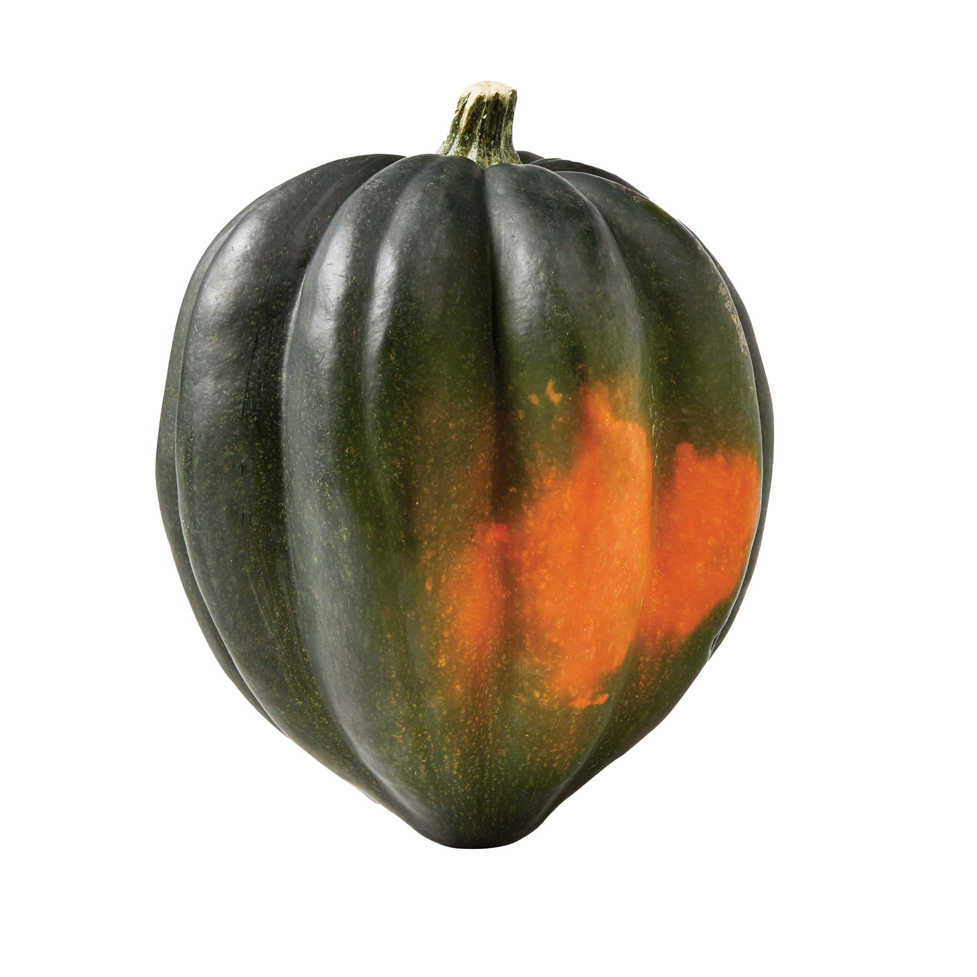 Fresh Acorn Squash