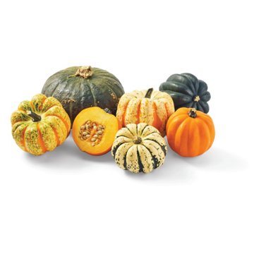 Fresh White Acorn Squash, Avg. 1.25 lbs