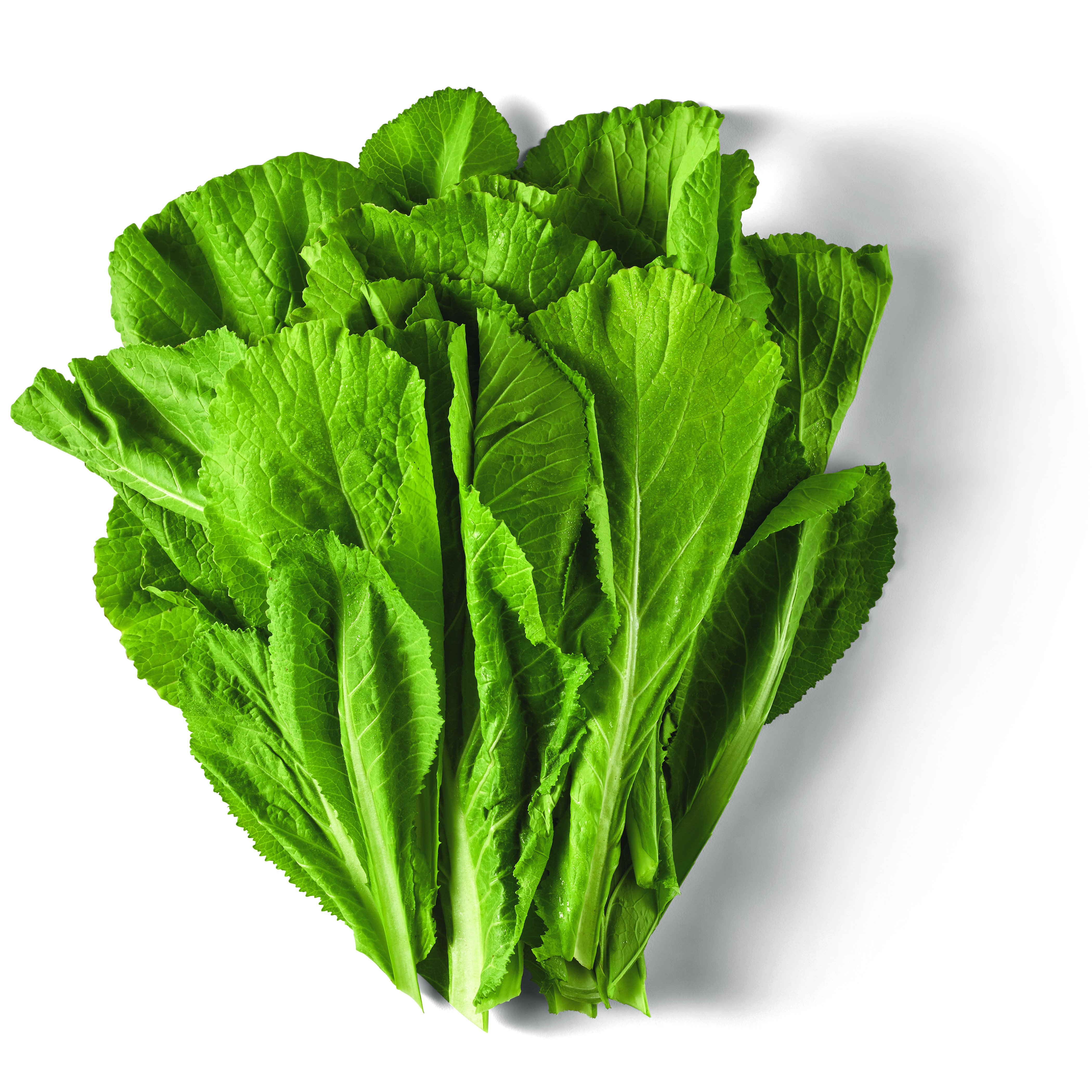 H-E-B Texas Roots Fresh Straight Leaf Mustard Greens