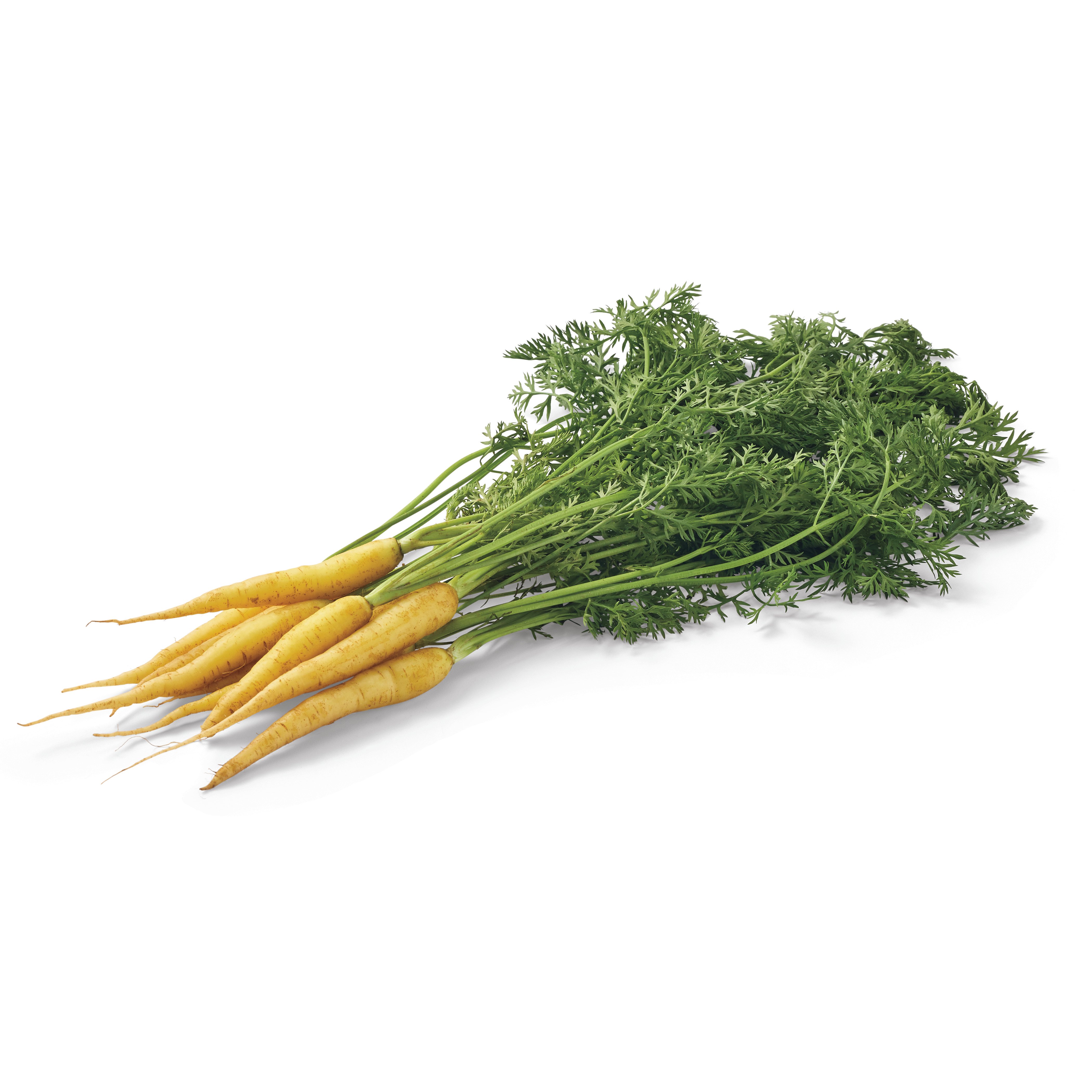 H-E-B Fresh Matchstick Carrots - Shop Potatoes & Carrots at H-E-B