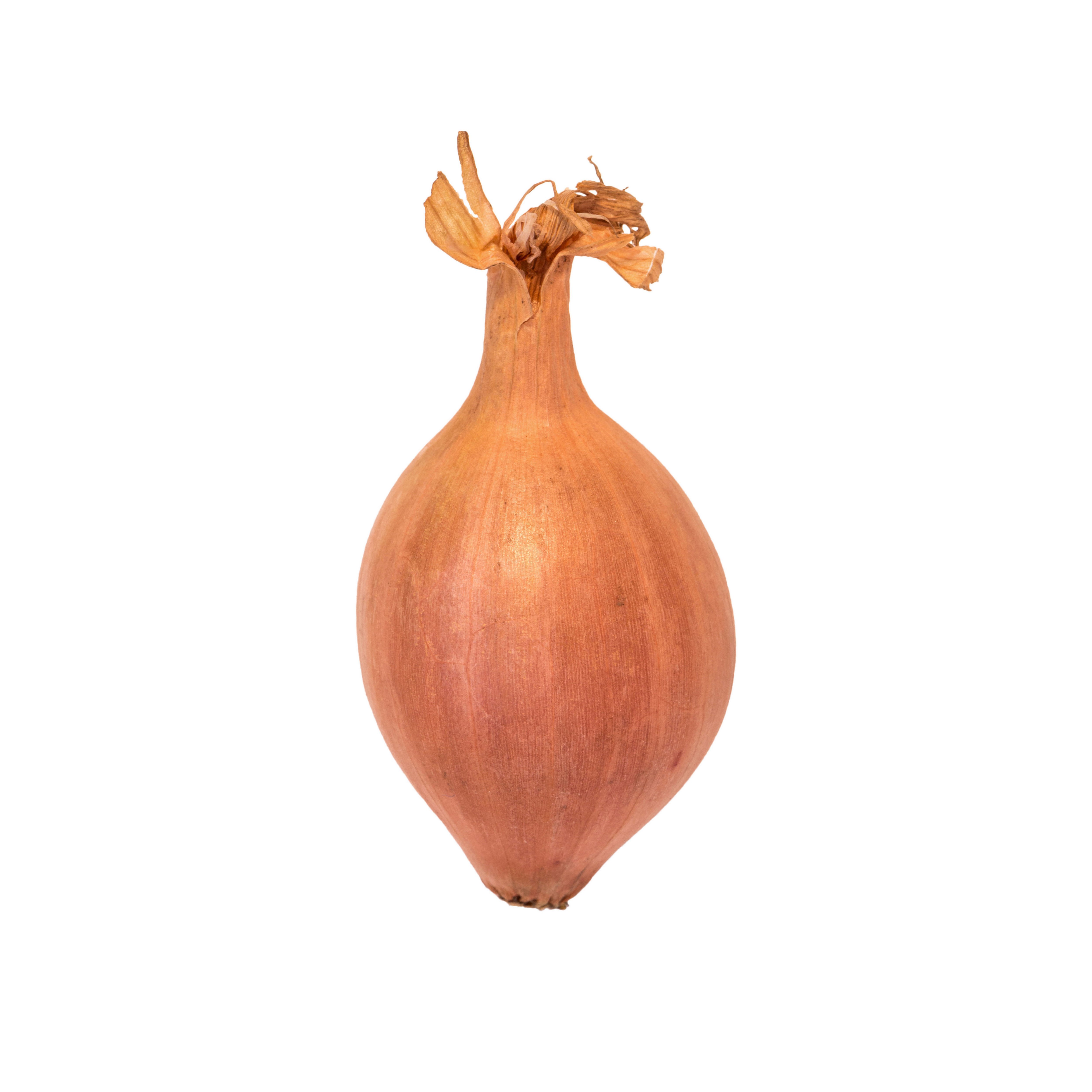 Best FAQ: What Are Shallots?