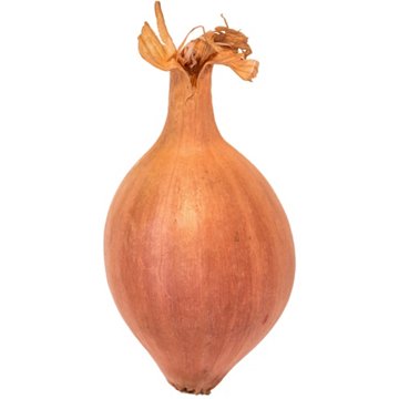 Fresh Organic Shallots, Avg. 0.11 lb