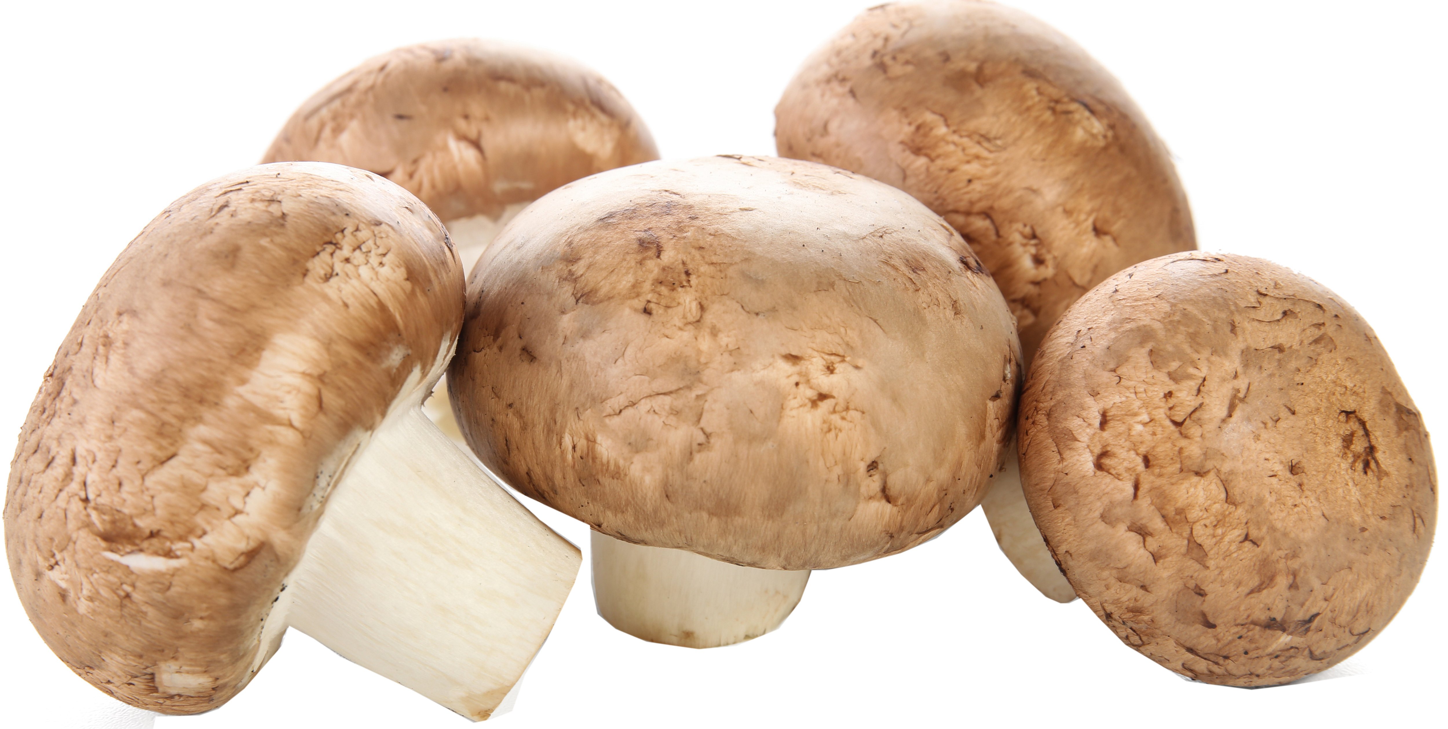 Organic Cremini Mushroom Shop at HEB