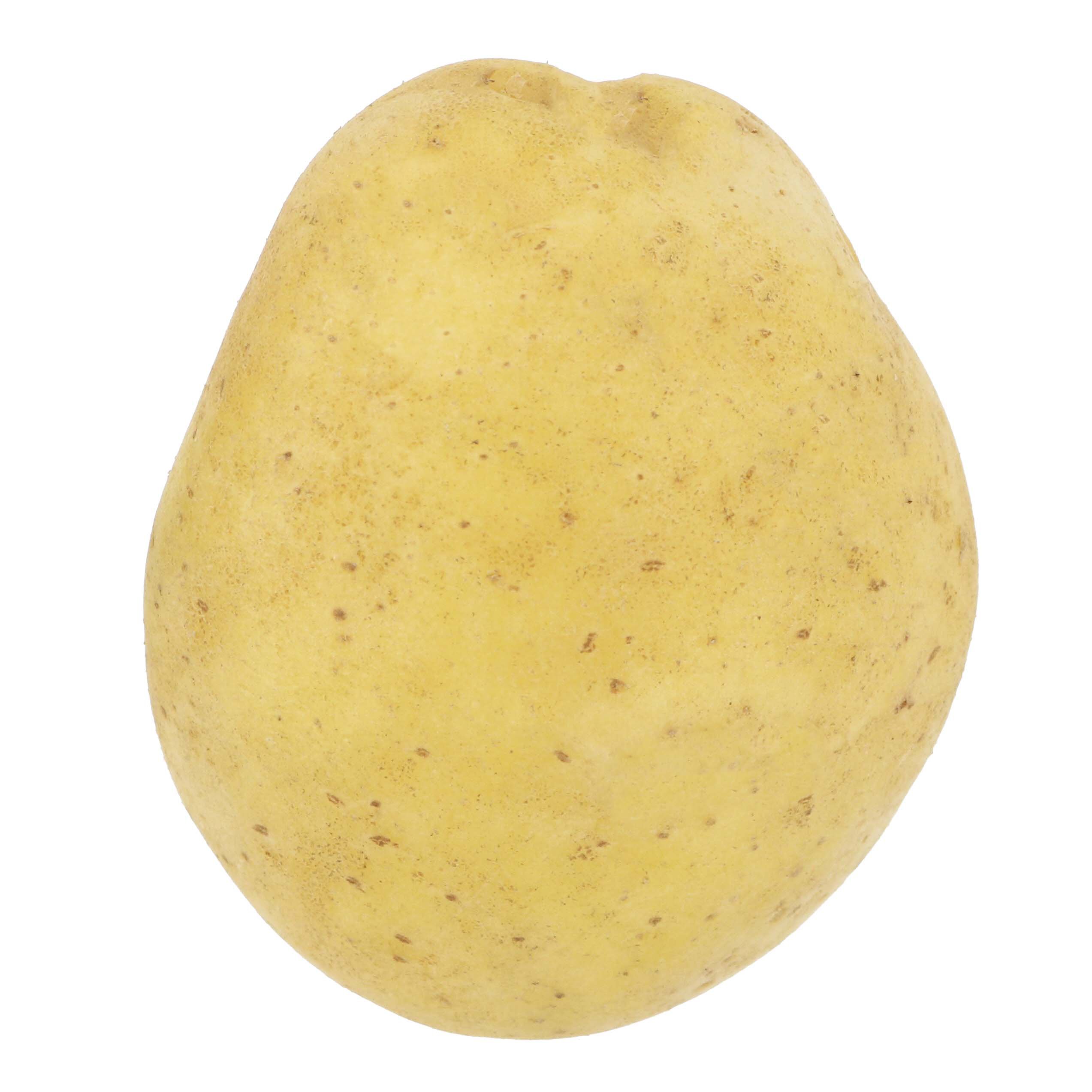 Fresh Organic White Potatoes