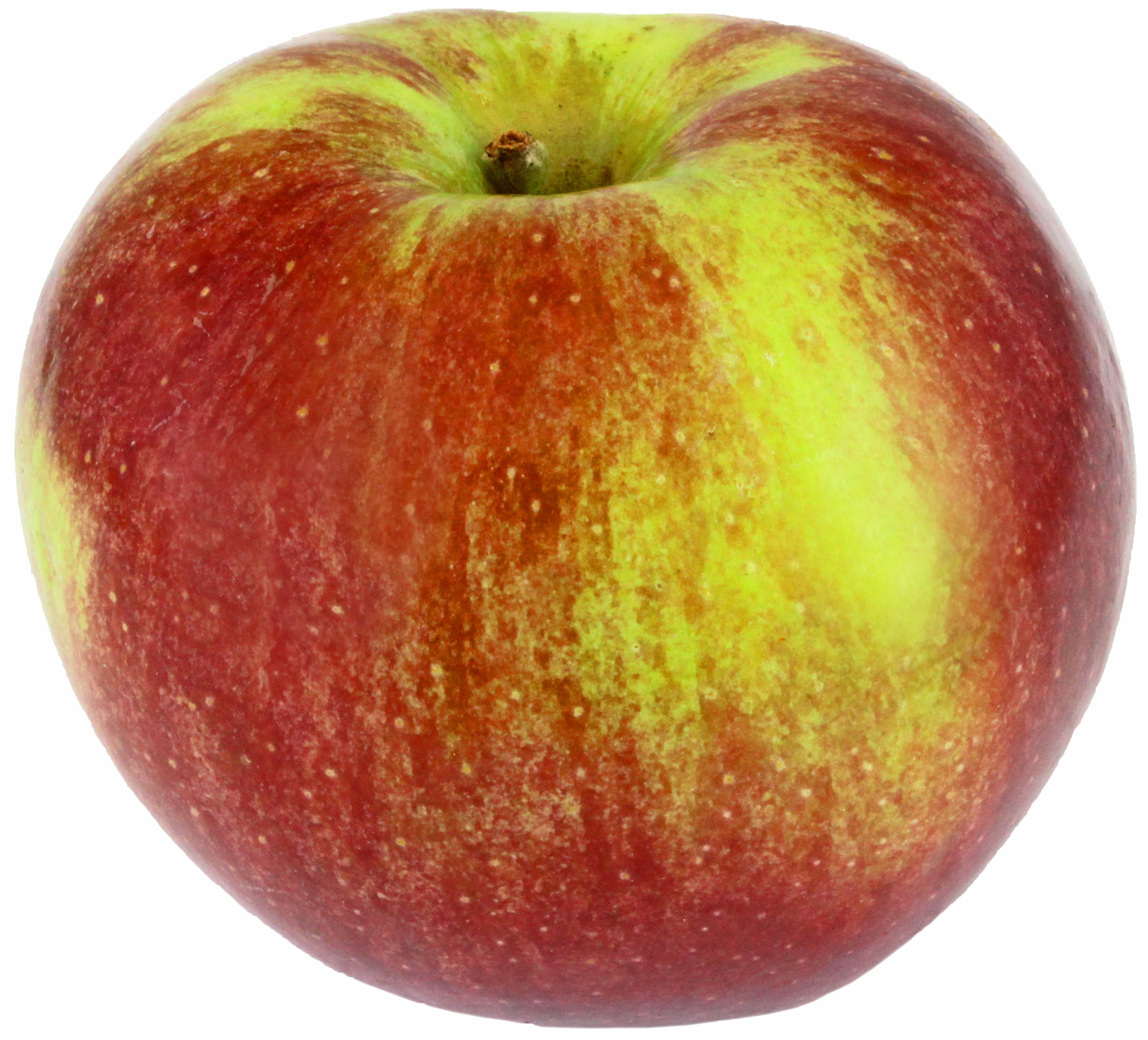 Fresh Twenty Ounce Apples, lb | Central Market - Really Into Food