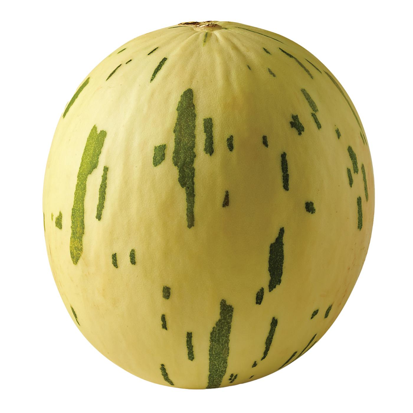 Fresh Dino Melon Shop Melons at HEB