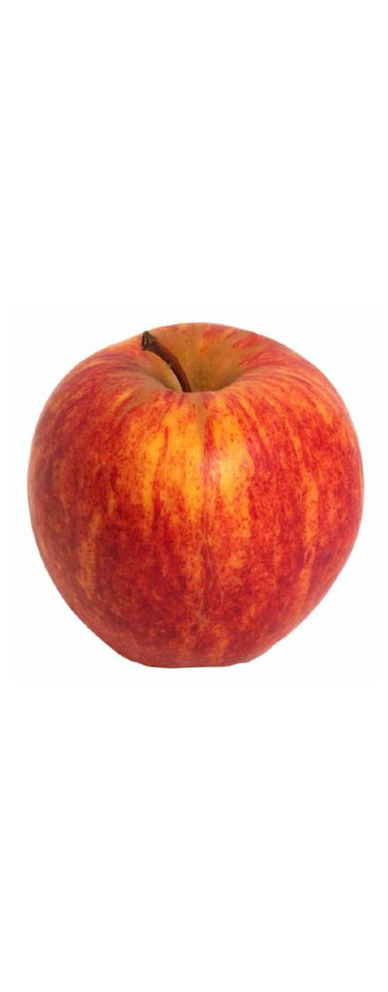 Fresh Gala Apple; image 3 of 3