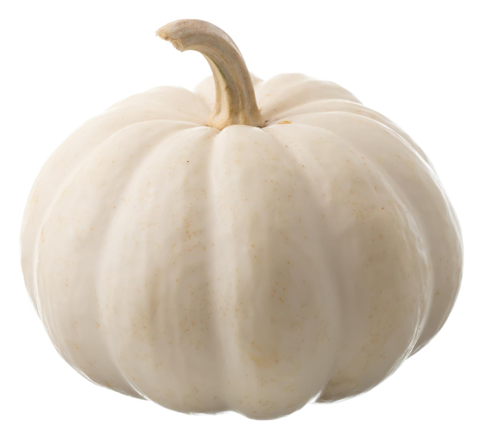 H-E-B Texas Roots White Pumpkin; image 1 of 2