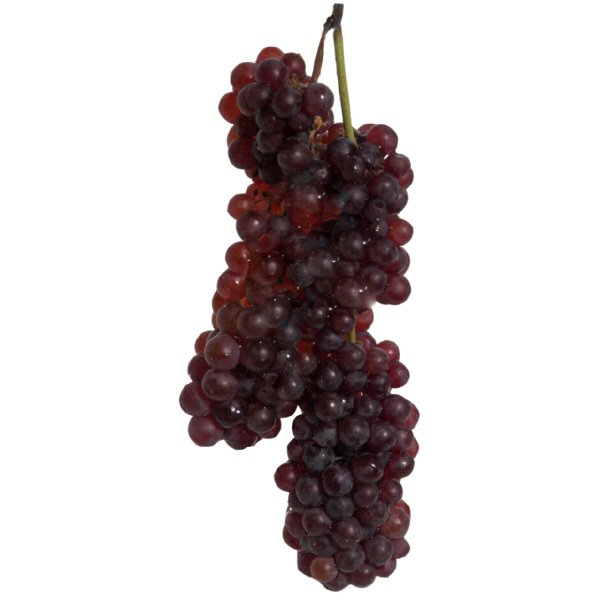 Fresh Champagne Grapes Shop Grapes at HEB