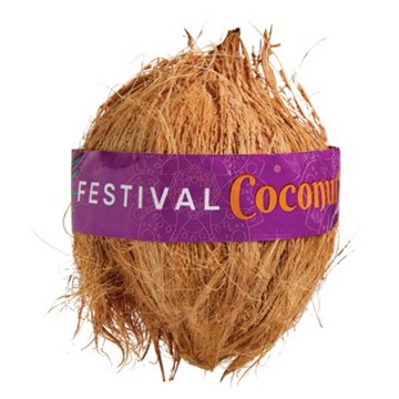 Fresh Brown Coconut