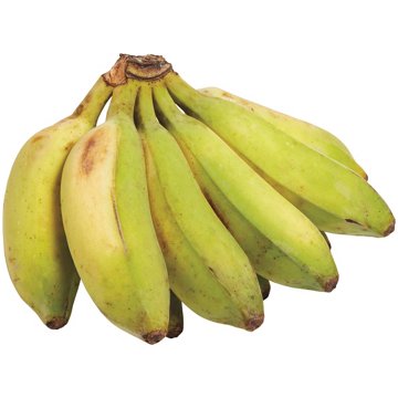 Fresh Bunch of Burros Bananas, Avg. 1.2 lbs