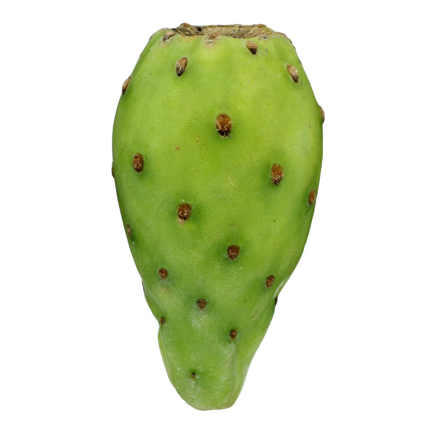 prickly pear cactus fruit