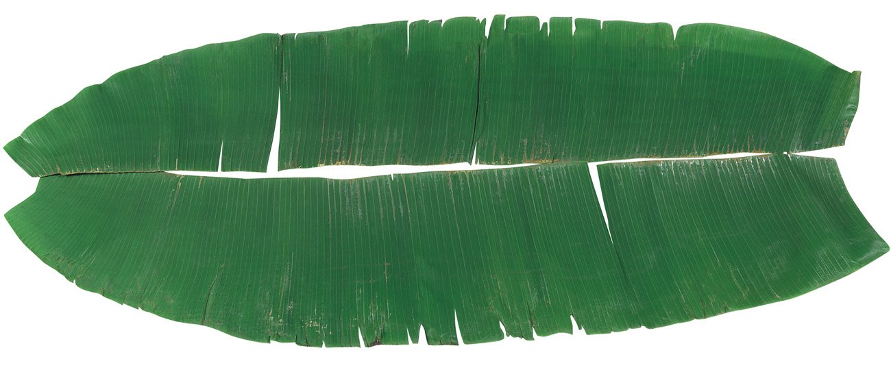 FRESH BANANA LEAVES ORGANIC COOKING TEXAS 2 POUNDS