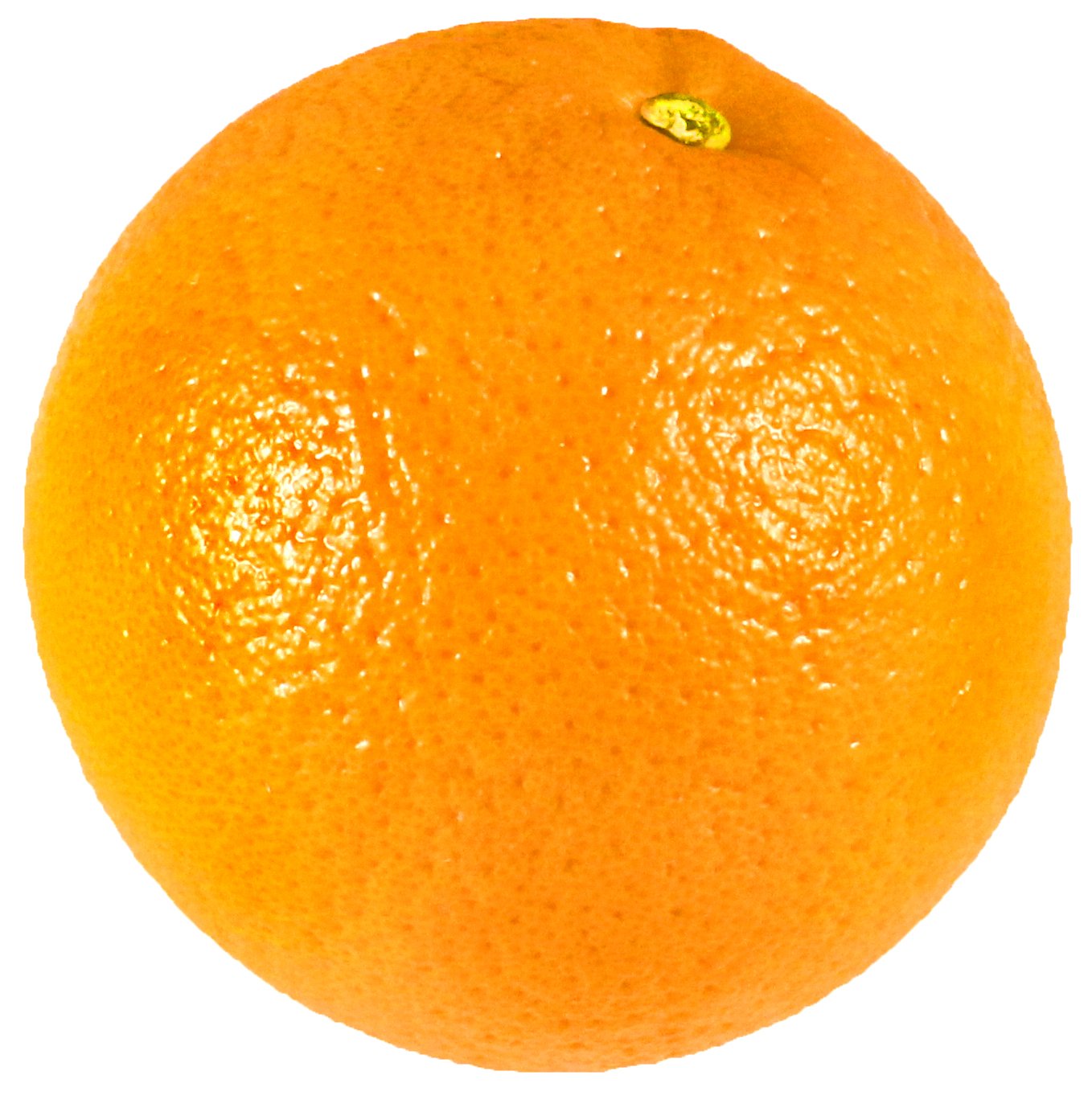 Sour Oranges Shop Citrus at HEB