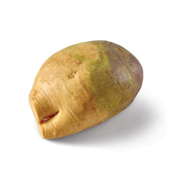 Fresh Rutabagas, Avg. 2.12 lbs