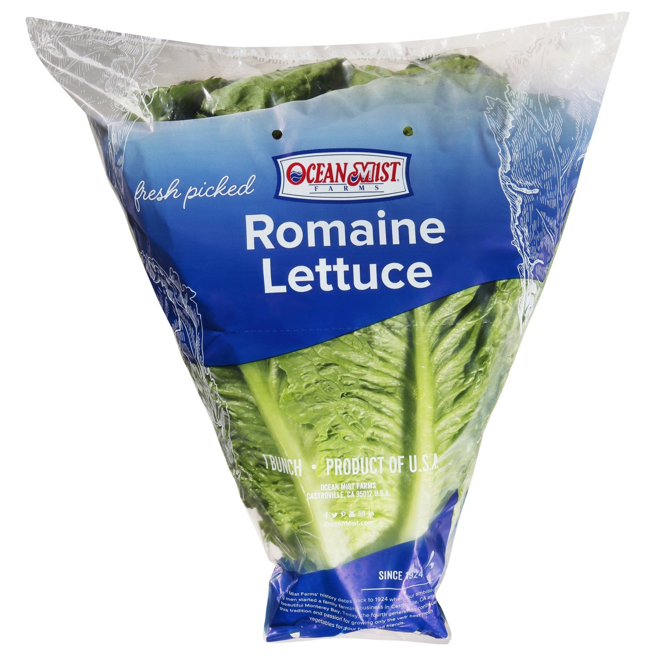 Fresh Sleeved Romaine Lettuce Shop Lettuce & Leafy Greens at HEB