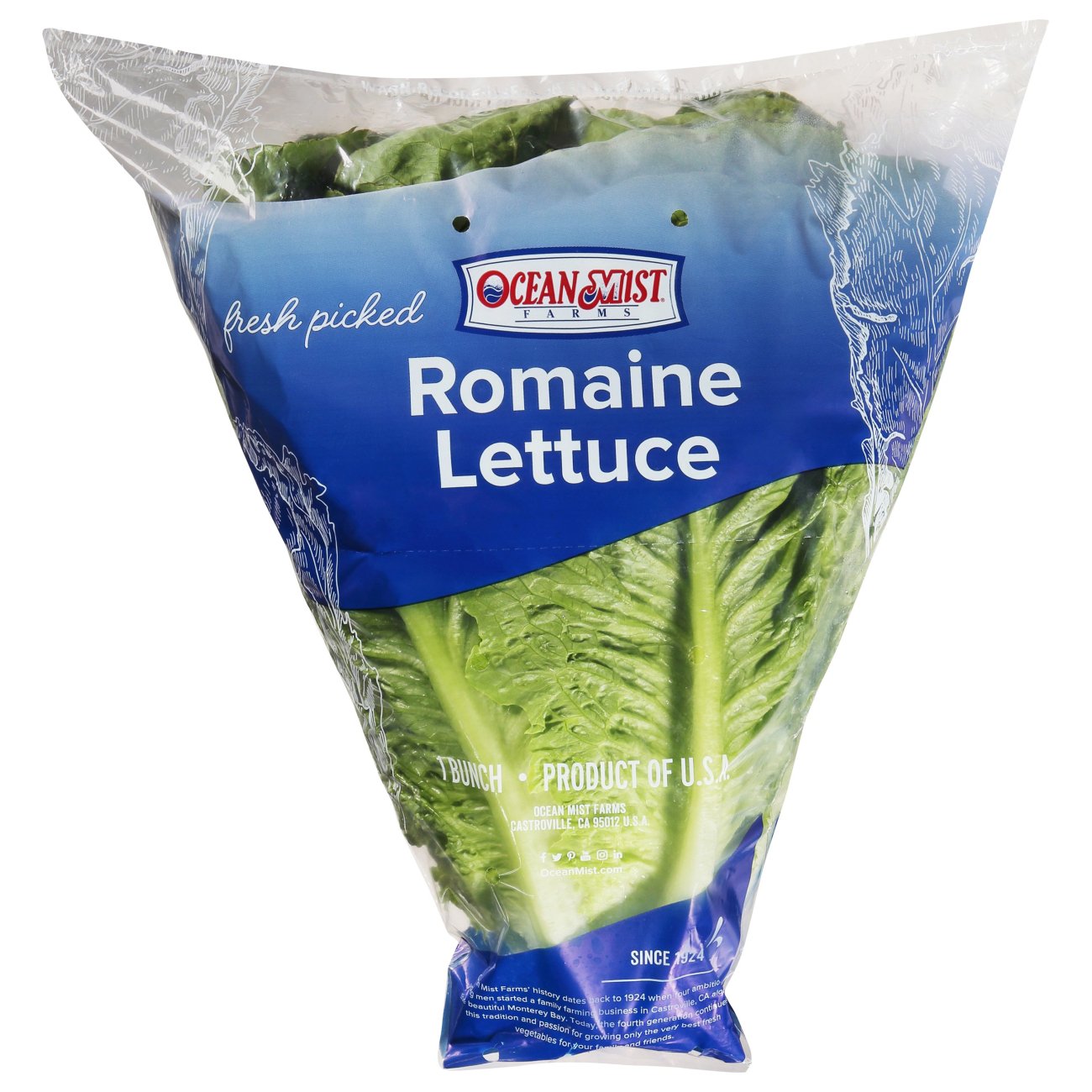 Fresh Sleeved Romaine Lettuce Shop Lettuce And Leafy Greens At H E B