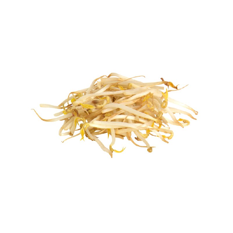 cooking with bean sprouts
