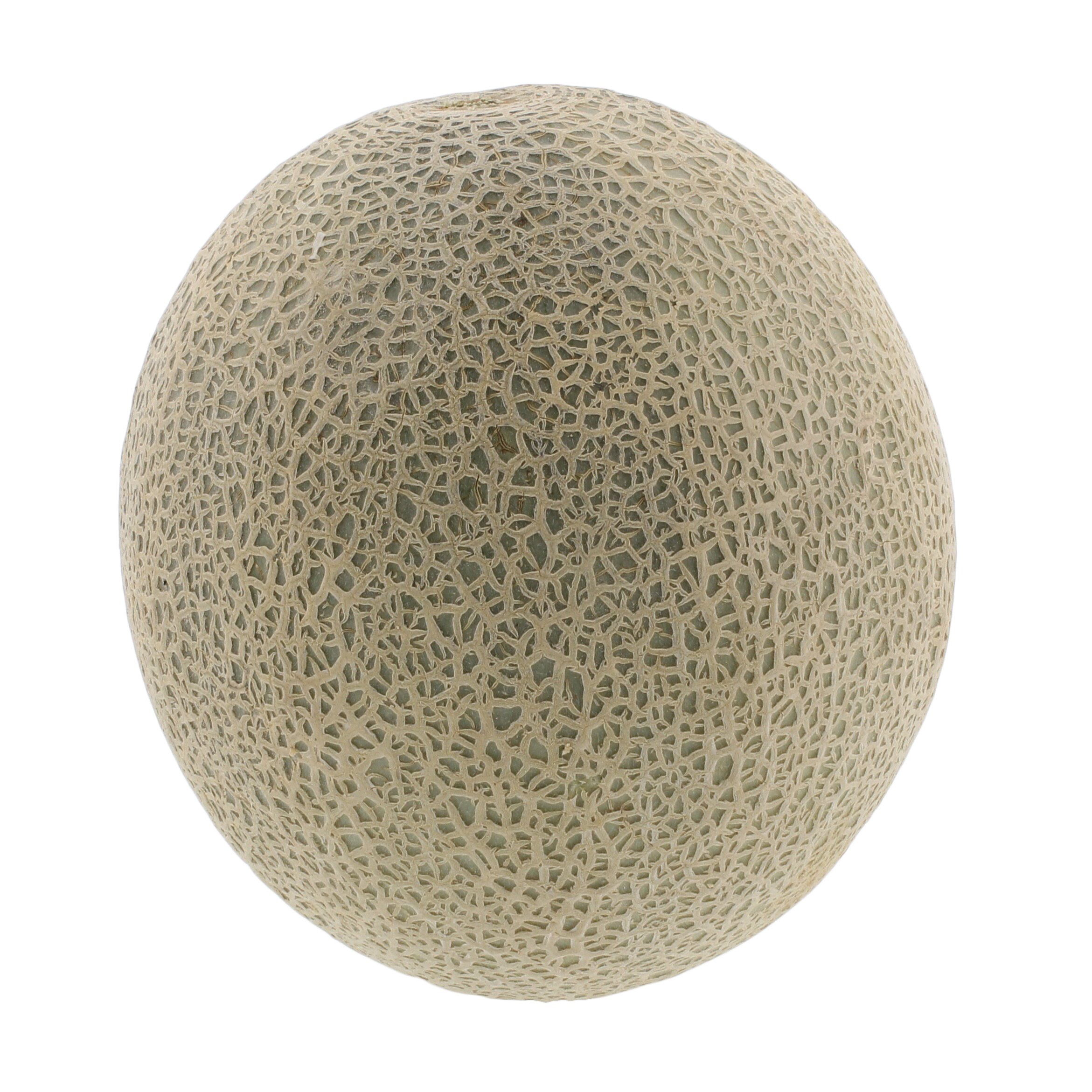 Fresh Organic Cantaloupes Shop Melons at HEB