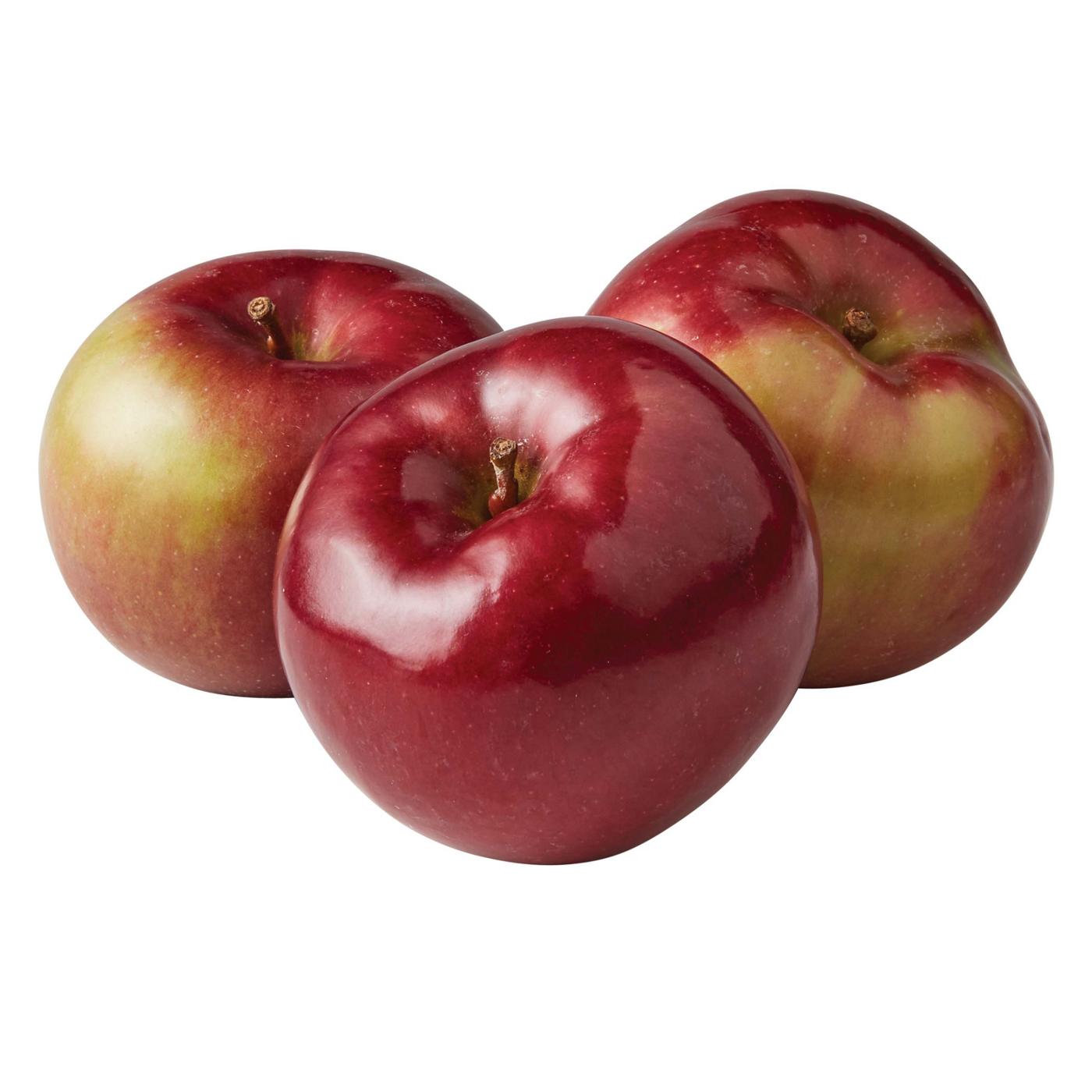 Fresh McIntosh Apple; image 1 of 2