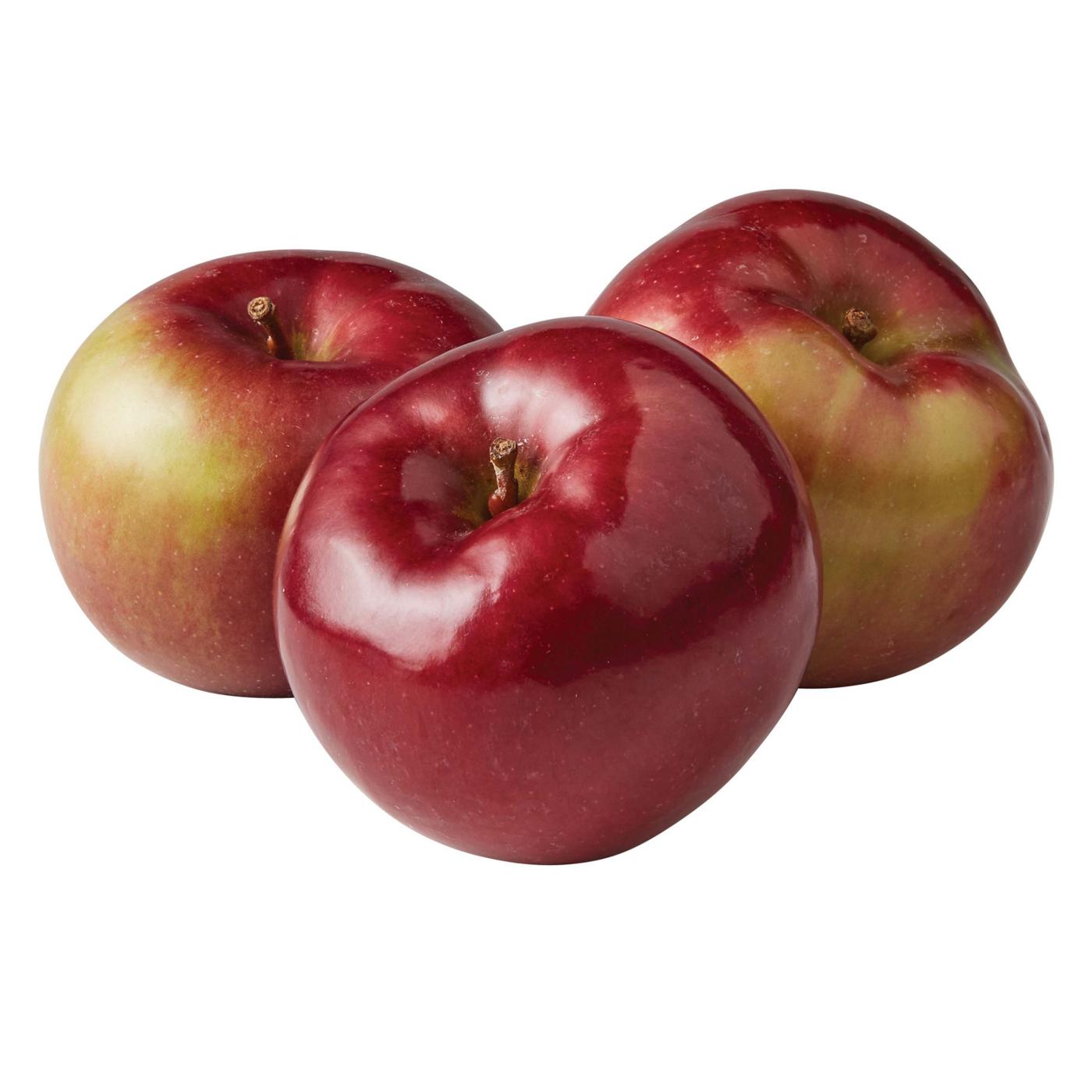 Fresh McIntosh Apple Shop Apples at HEB