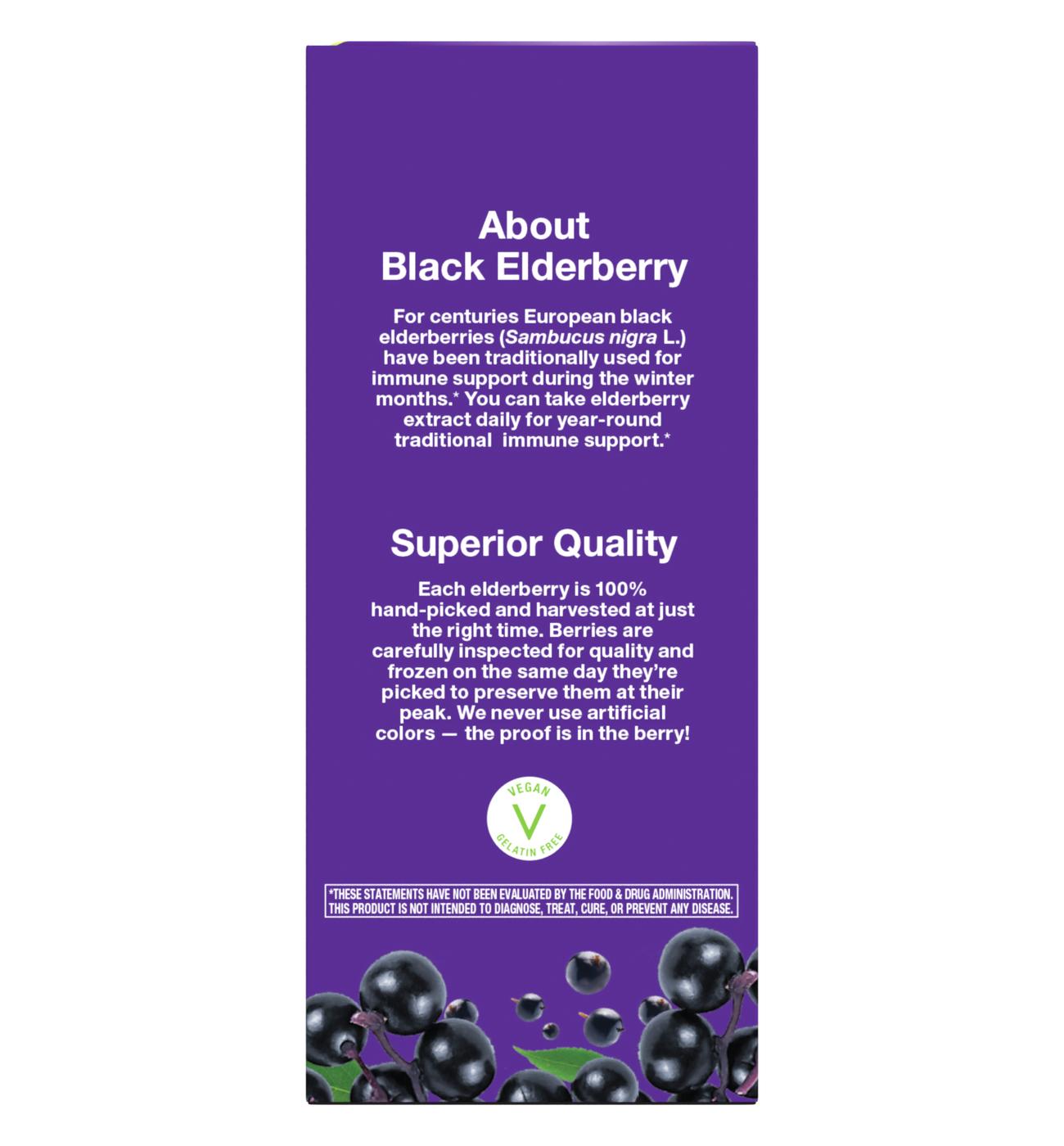 Nature's Way Sambucus Traditional Immune Syrup; image 2 of 4