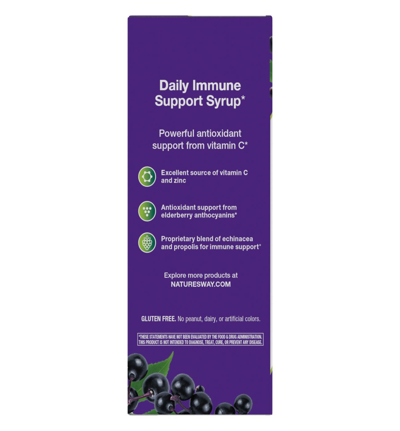 Nature's Way Sambucus Immune Syrup; image 3 of 4
