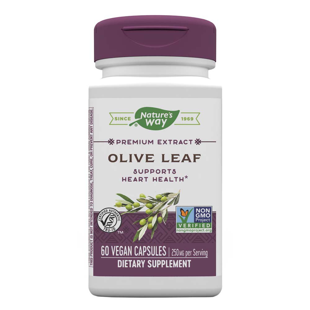 Экстракт листьев оливы пикуаль. Olive Leaf extract. Olive Leaf extract капсулы. Олеуропеин экстракты оливы. Olive Leaf extract инструкция.