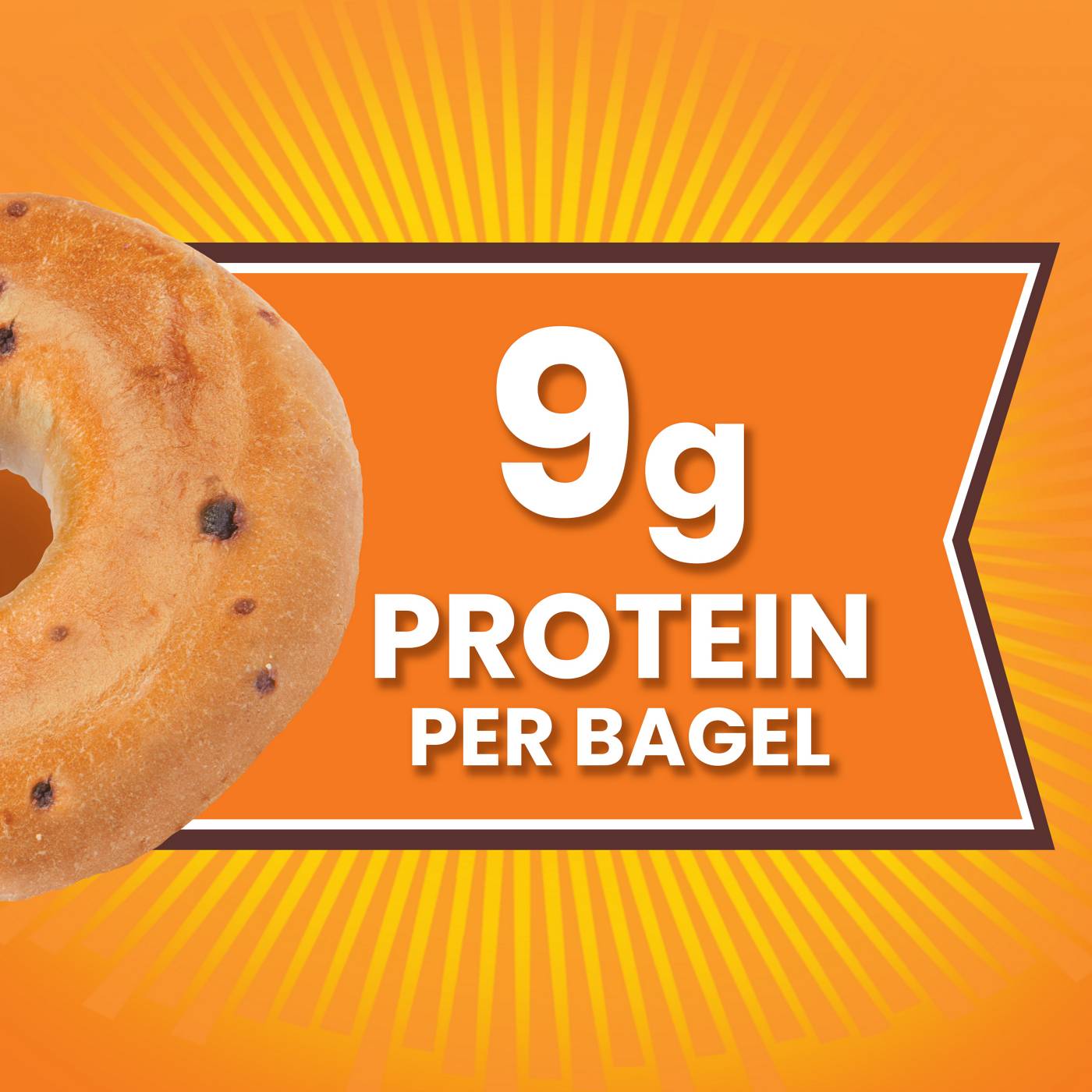 Thomas' Blueberry Bagels; image 7 of 7