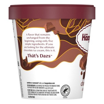 Häagen-Dazs Chocolate Ice Cream