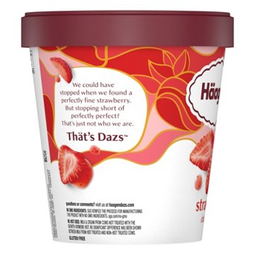 Häagen-Dazs Strawberry Ice Cream
