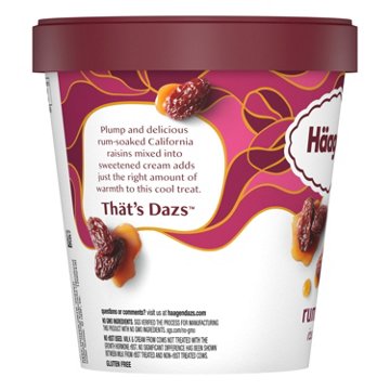 Häagen-Dazs Rum Raisin Ice Cream