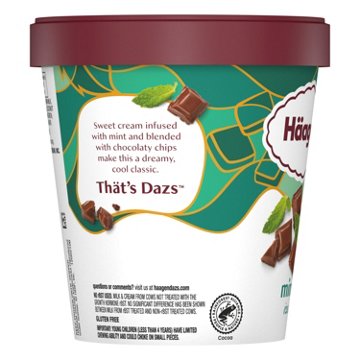 Häagen-Dazs Mint Chip Ice Cream