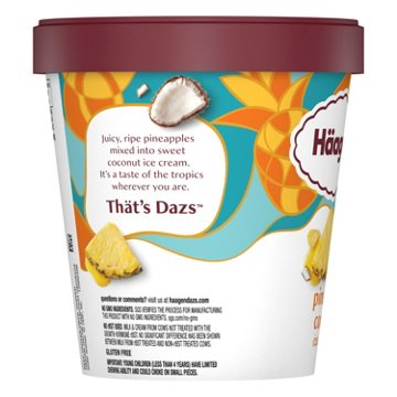 Häagen-Dazs Pineapple Coconut Ice Cream