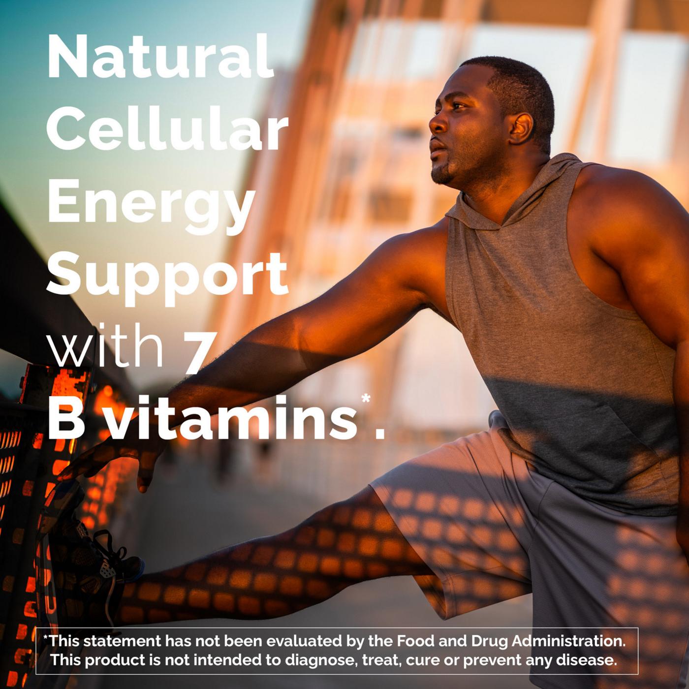 Best Immune System Support Supplements