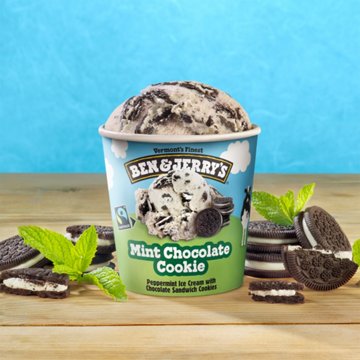 Ben & Jerry's Mint Chocolate Cookie Ice Cream