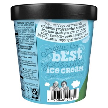Ben & Jerry's Peanut Butter Cup Ice Cream