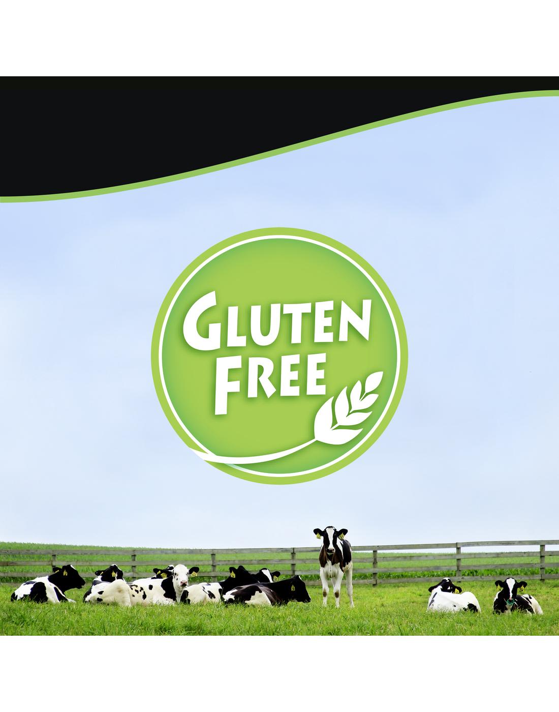 Breyers Natural Vanilla Ice Cream; image 2 of 5