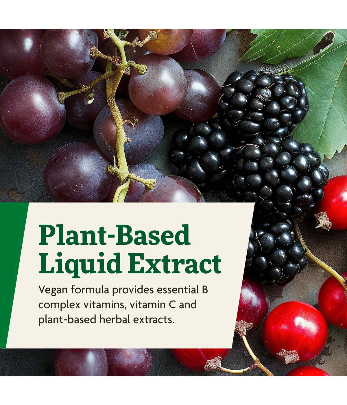 Floradix Floravital Floravital Iron & Herbs Liquid; image 4 of 6