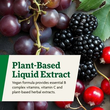 Floradix Floravital Floravital Iron & Herbs Liquid, 8.50 oz