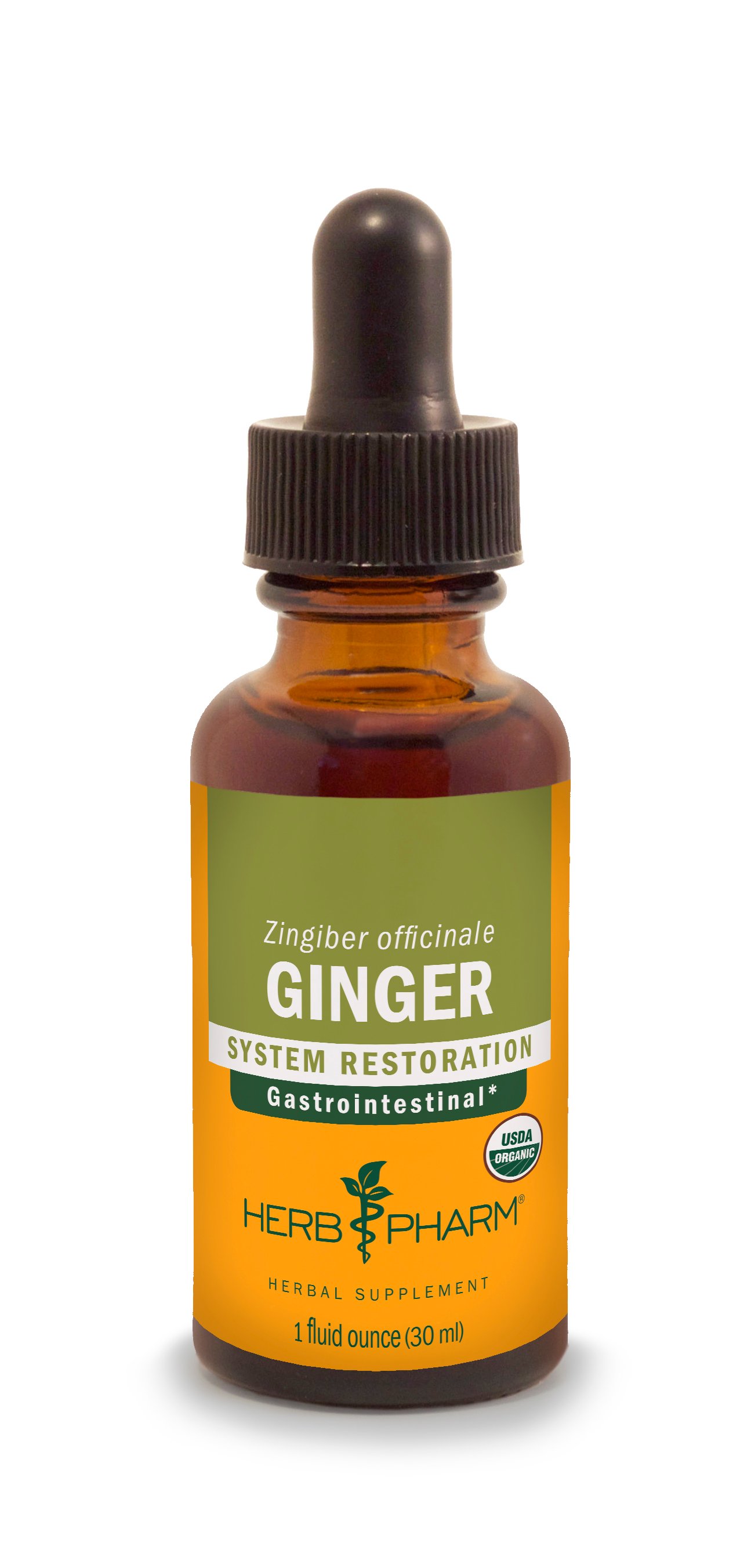 Herb Pharm Ginger Extract Shop Herbs & Homeopathy at HEB