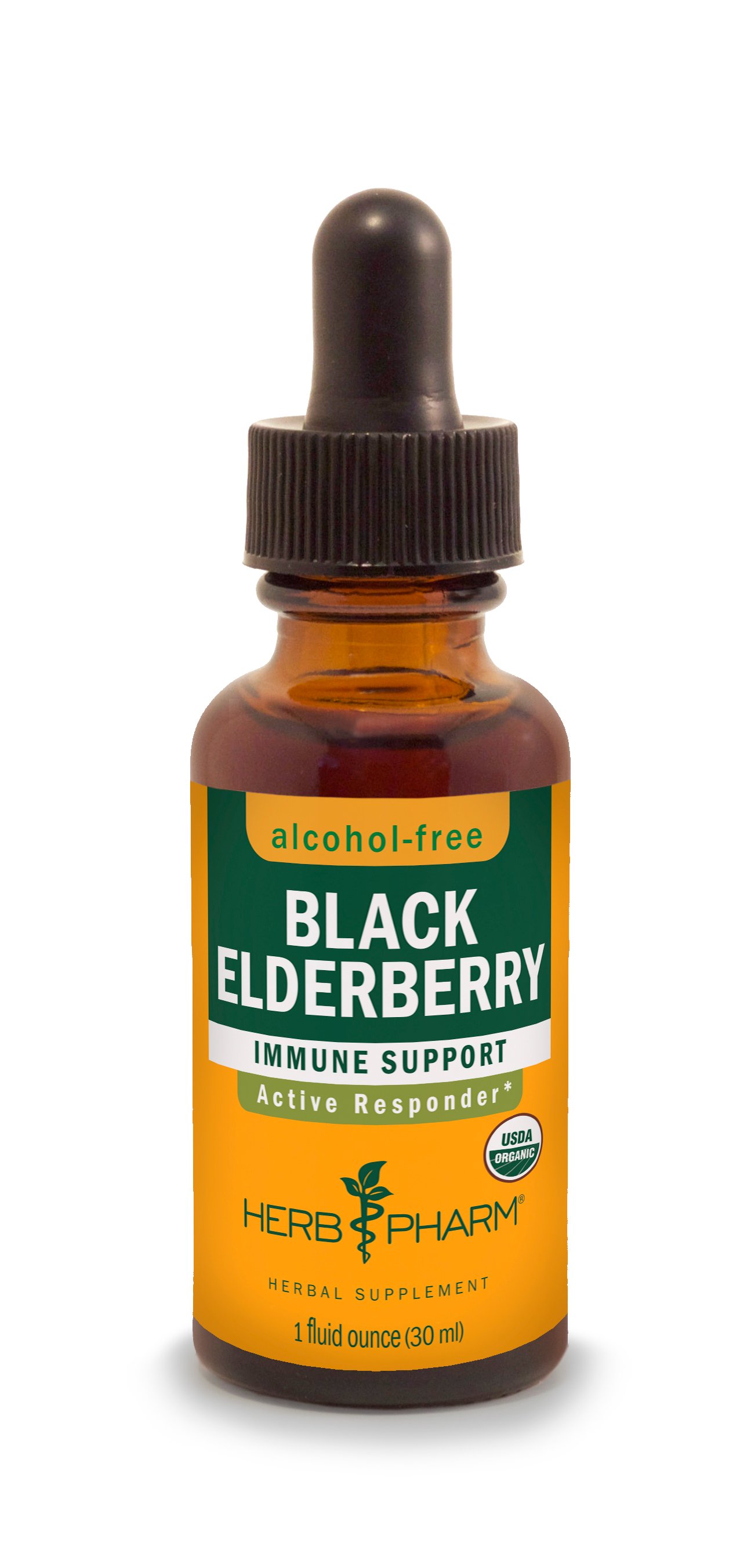Herb Pharm Black Elderberry Extract Shop Herbs & homeopathy at HEB