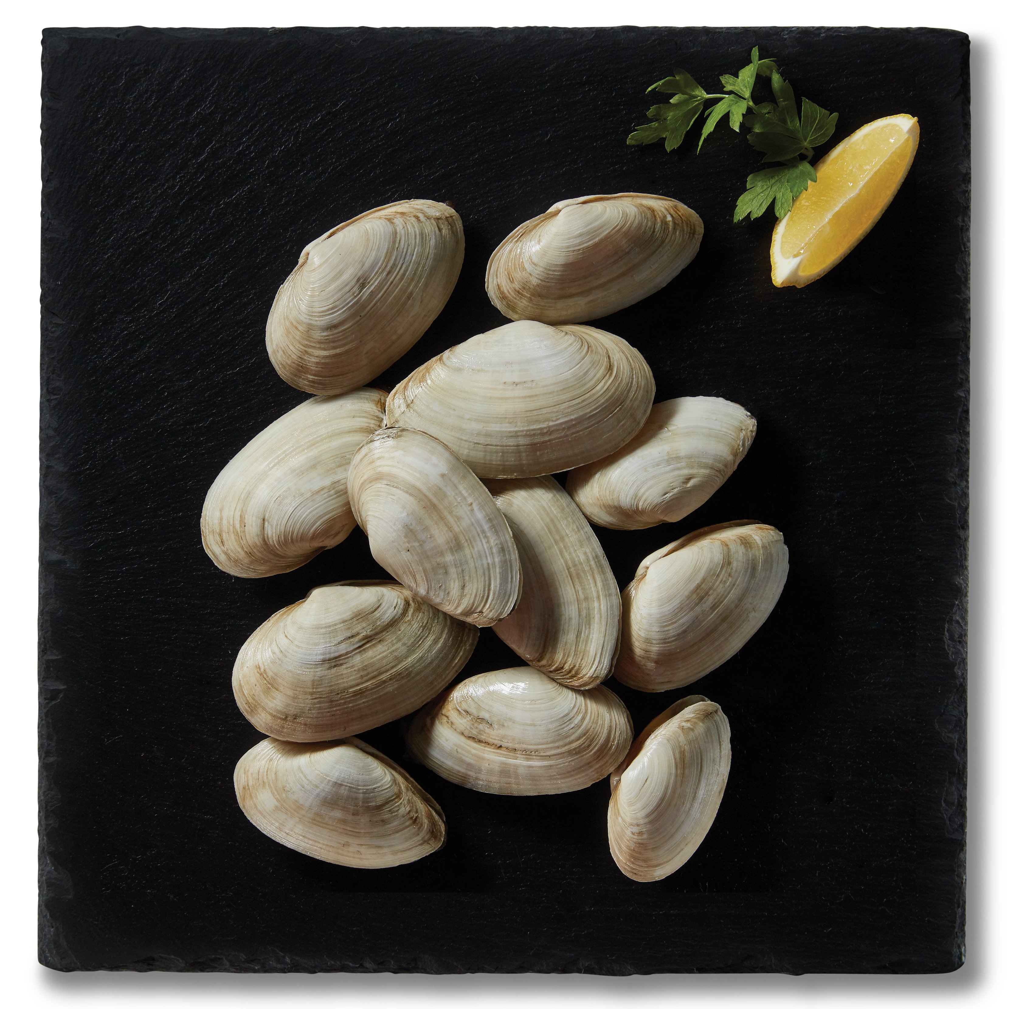 HEB Wild Caught Live Steamer Clams Shop Shrimp & Shellfish at HEB