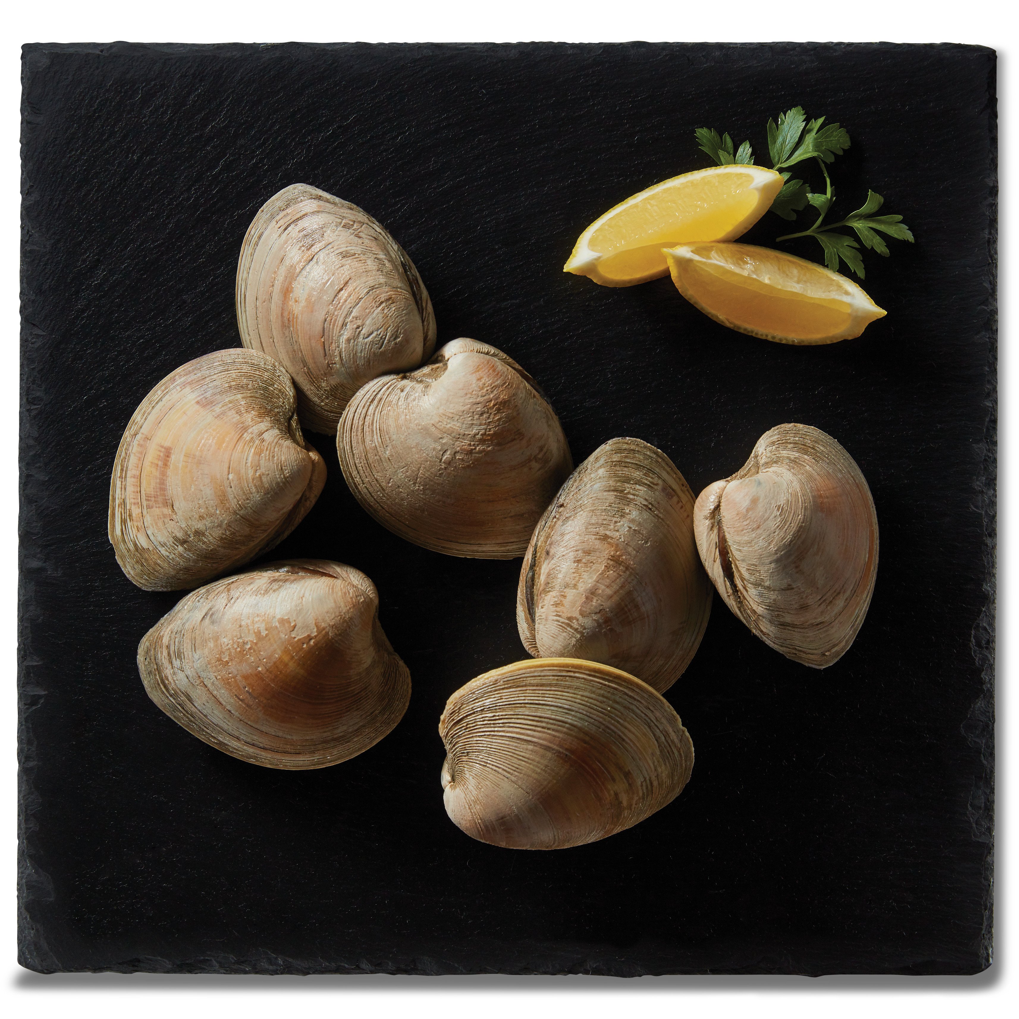 HEB Wild Caught Live Cherrystone Clams Shop Shrimp & shellfish at HEB