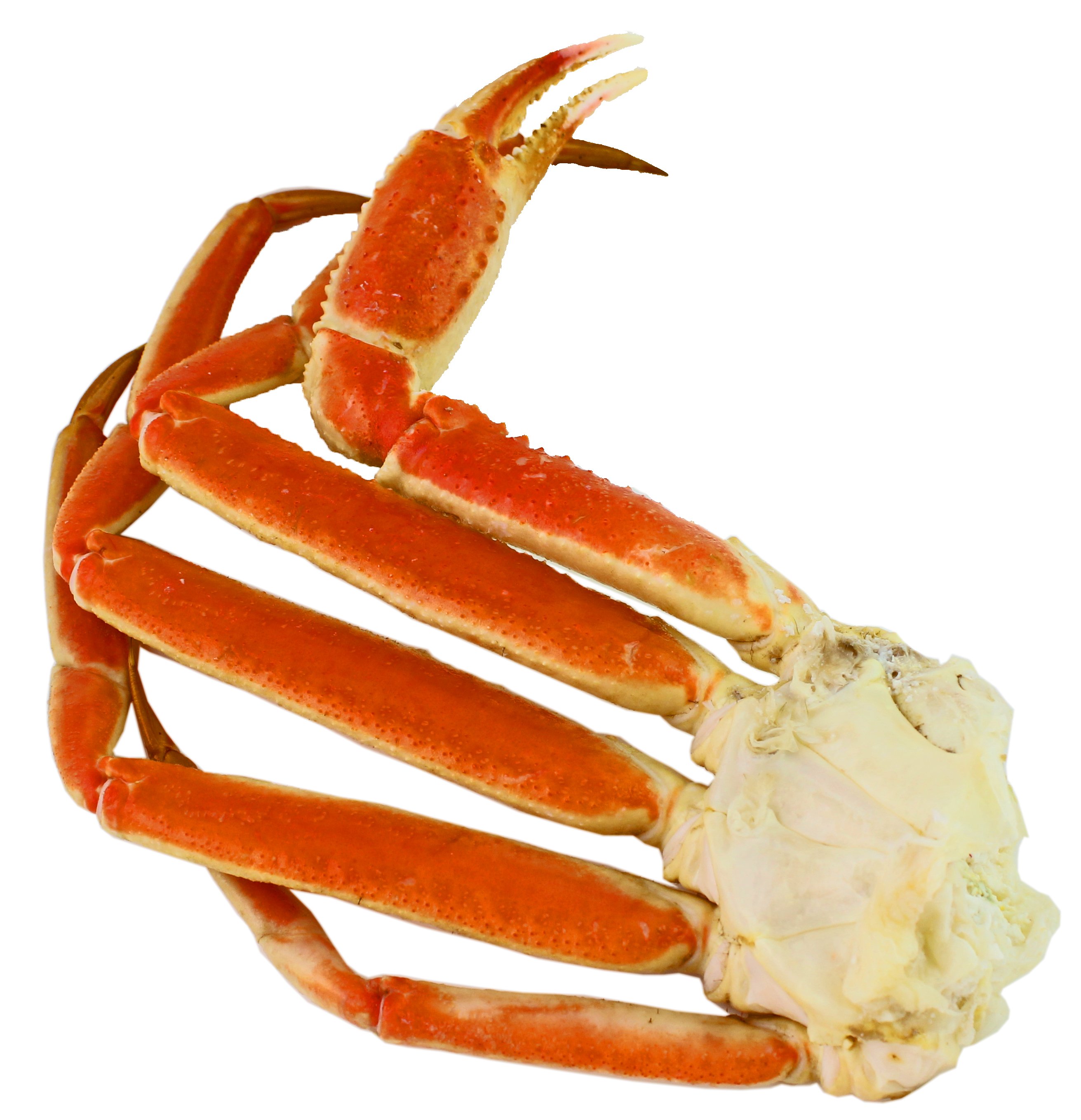 Snow Crab Clusters - Shop Seafood At H-E-B